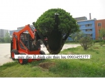 Máy đánh lỗ để trồng cây